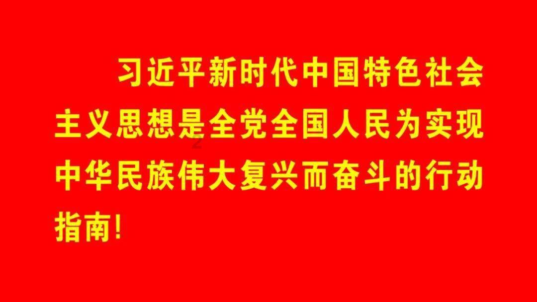 动物拼一拼